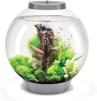 BEST OF BEST FISH BOWL WITH LID