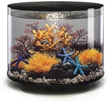 BEST OF BEST FISH TANK CENTER TABLE