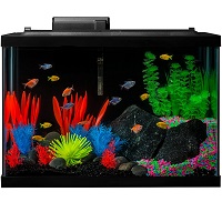 BEST OF BEST FISH TANK WITH HEATER AND FILTER summary
