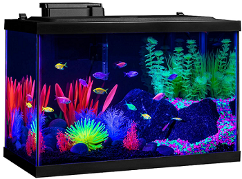 BEST OF BEST FISH TANK WITH HEATER AND FILTER