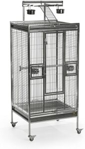 green cheeked conure travel cage