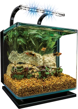 BEST OF BEST SMALL FISH TANK WITH LIGHT AND FILTER
