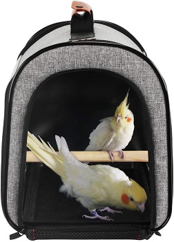 BEST OUTDOOR SMALL BIRD CARRIER