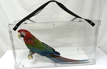 BEST-PARROT-AIRLINE-APPROVED-BIRD-CARRIERrr