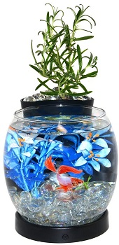 BEST SMALL FISH TANK CENTER TABLE