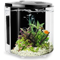 BEST SMALL FISH TANK WITH BUILT-IN FILTER summary
