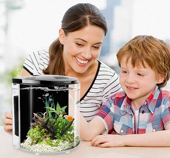 BEST SMALL FISH TANK WITH BUILT-IN FILTER