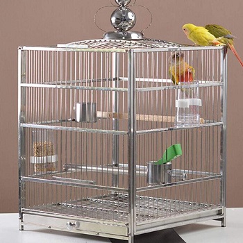 BEST SMALL STAINLESS STEEL PARROT CAGE
