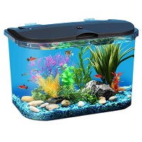 BEST WITH FILTER CHEAP 5 GALLON FISH TANK summary