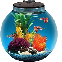 BEST WITH FILTER FISHBOWL WITH LID summary