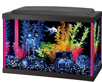 BEST WITH FILTER SMALL PLANTED AQUARIUM
