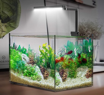 Chihiros Dimmable Aquarium LED Light