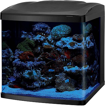 Coralife LED Biocube Aquarium