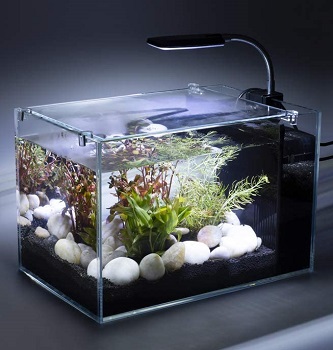 DaToo Aquarium Betta Fish Tank