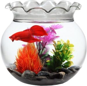 fish bowl 3 gallon