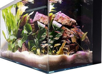 Lifegard Aquatics Crystal Aquarium