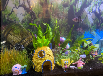 N Spongebob All Characters Fish Tank