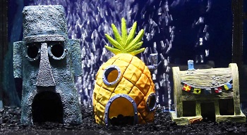 Penn-Plax Spongebob Squarepants Set