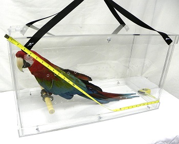Pennzoni Display Macaw Carrier
