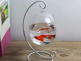 ROUND FISH TANK WITH A STAND