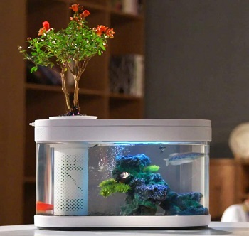 Sheebo Modern Aquarium Kit