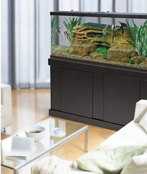 Tetra Aquarium Kit