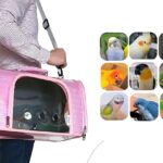 airline-approved-bird-carriers