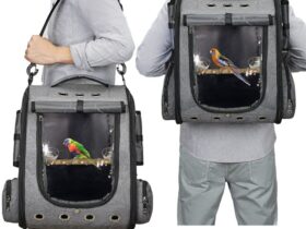 bird-travel-carrier-bag