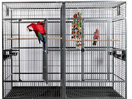 double-parrot-cage