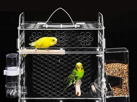 hanging-decorative-bird-cage