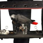 parrot-travel-carrier