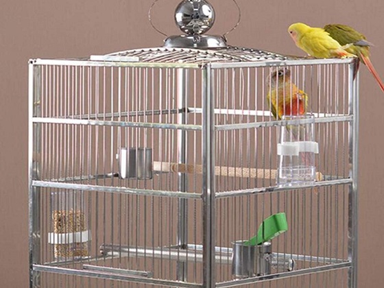 stainless-steel-parrot-cage