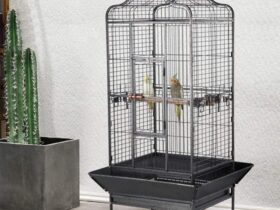 victorian-style-bird-cage-with-stand