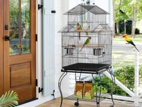 24x24-bird-cage