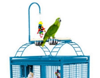 A&E Cage 8002422 Playtop Cage