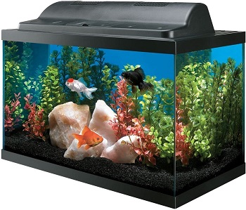 Aqueon Basic Kit Aquarium