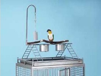 Avian Adventures Chiquita Bird Cage
