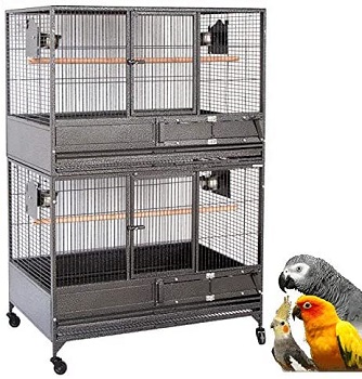 BEST AFRICAN GREY BIRD BREEDING CAGE