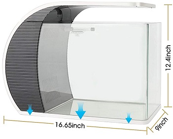 BEST CATFISH COLD WATER FISH TANK