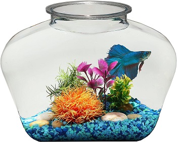 BEST CHEAP COLD WATER FISH TANK