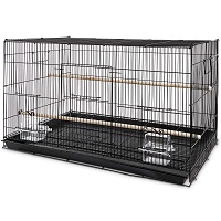 BEST CHEAP SMALL PARROT CAGE Summary