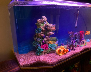 BEST CORNER INDOOR AQUARIUM