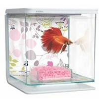 BEST CUBE COLORFUL FISH TANK summary
