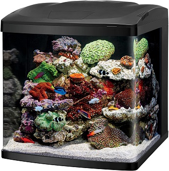 BEST CUBE FISH TANK FOR CATS