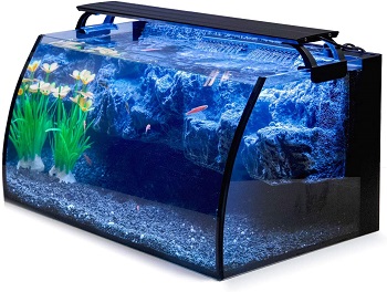 BEST FOR BEGINNERS COLD WATER AQUARIUM