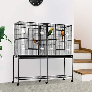 BEST LARGE PARROT SMALL CAGE