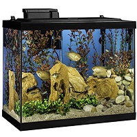 BEST OF BEST COMMERCIAL FISH TANK summary