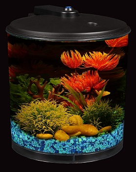 BEST OF BEST EMPTY AQUARIUM