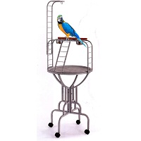 BEST OF BEST PARROT PLAY GYM Summary
