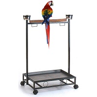 BEST ON WHEELS PARROT PLAY GYM Summary